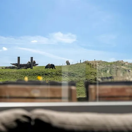 Holiday home Trifun - 50m From The Sea In Nw Jutland By Interhome *